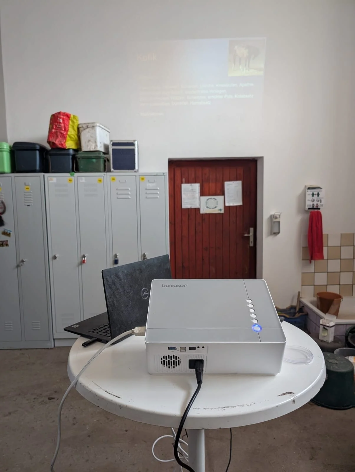 Bild: Dank der grad neu geweißten Wand im Durchgang des Stalltraktes konnte diese als Projektionswand genutzt werden.