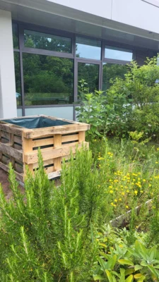 Foto des Albums: Schulgarten