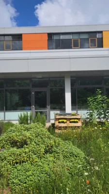 Foto des Albums: Schulgarten