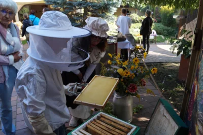 Imkern zum Selbstausprobieren im Hof 27  (Bild vergrößern)
