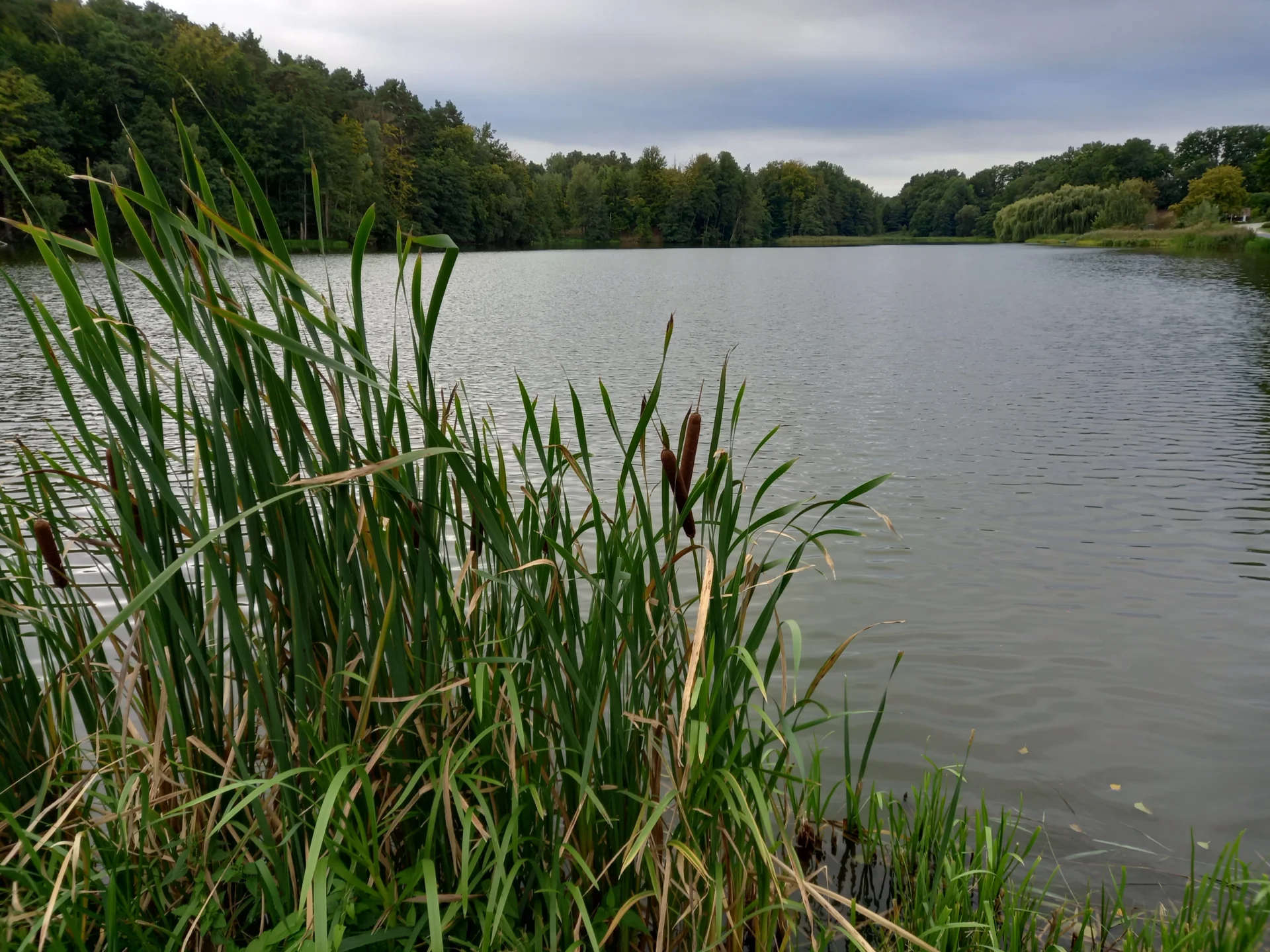 Bild: Am Dorchesee