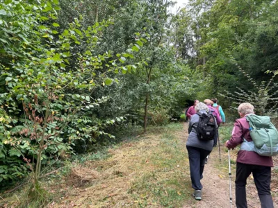 Foto des Albums: Wanderung Rodenberg mit Waldklassenzimmer und Mühle