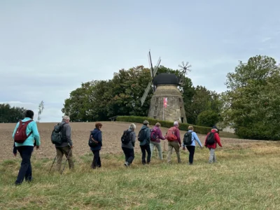 Foto des Albums: Wanderung Rodenberg mit Waldklassenzimmer und Mühle