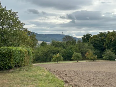 Foto des Albums: Wanderung Rodenberg mit Waldklassenzimmer und Mühle