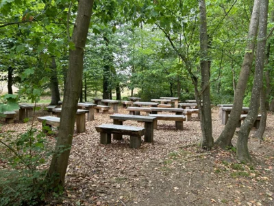 Foto des Albums: Wanderung Rodenberg mit Waldklassenzimmer und Mühle