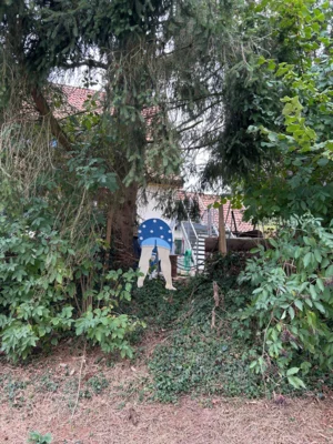 Foto des Albums: Wanderung Rodenberg mit Waldklassenzimmer und Mühle