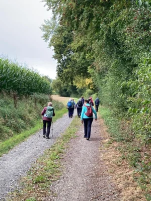 Foto des Albums: Wanderung Rodenberg mit Waldklassenzimmer und Mühle