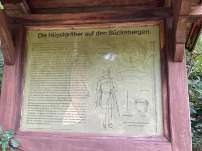 Foto des Albums: Wanderung Rodenberg mit Waldklassenzimmer und Mühle
