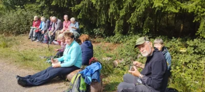 Foto des Albums: Wanderung Rodenberg mit Waldklassenzimmer und Mühle