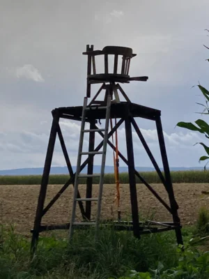 Foto des Albums: Wanderung Rodenberg mit Waldklassenzimmer und Mühle