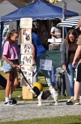 Foto des Albums: Herbstmarkt am Sonntag, 21. September 2025
