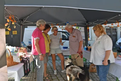 Foto des Albums: Herbstmarkt am Sonntag, 21. September 2025