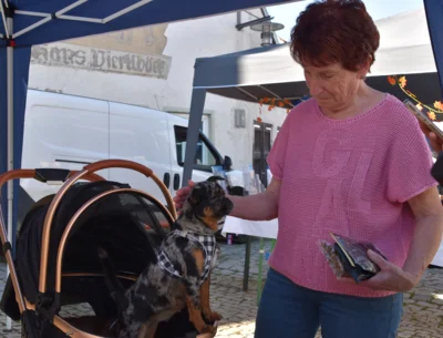Foto des Albums: Herbstmarkt am Sonntag, 21. September 2025