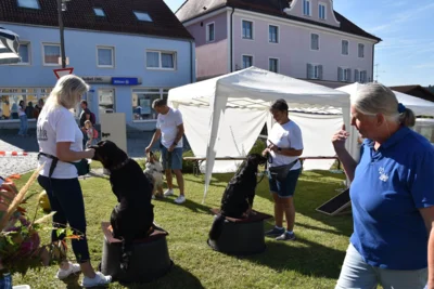 Foto des Albums: Herbstmarkt am Sonntag, 21. September 2025