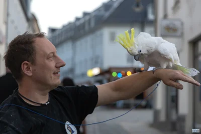 Foto des Albums: Spätsommerfest 2025