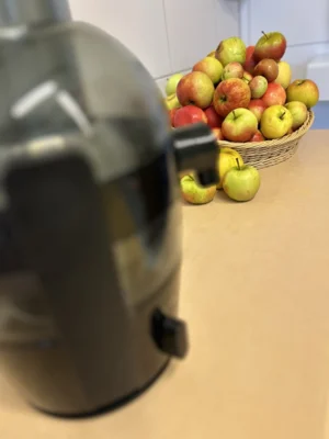 Foto des Albums: Projekttag Ernährung 2025