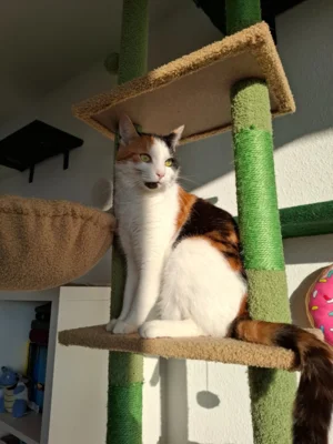 Foto des Albums: Update zu Lotti :)
