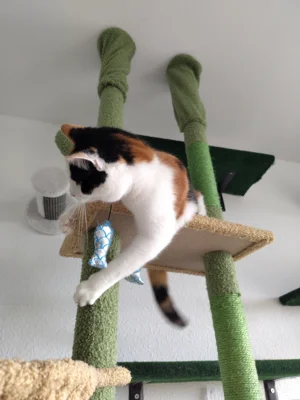 Foto des Albums: Update zu Lotti :)