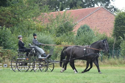 Foto des Albums: WBO-Fahrertag