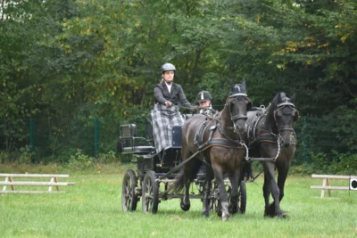 Foto des Albums: WBO-Fahrertag