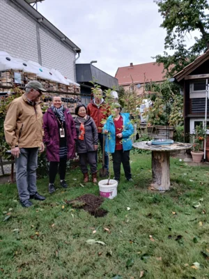 Foto des Albums: Baumpflanz-Challenge