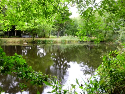 Alter Fischteich?  (Bild vergr&ouml;&szlig;ern)