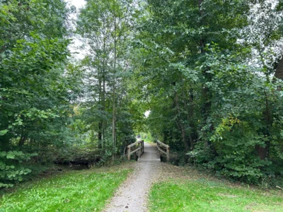 R&uuml;ckweg  (Bild vergr&ouml;&szlig;ern)