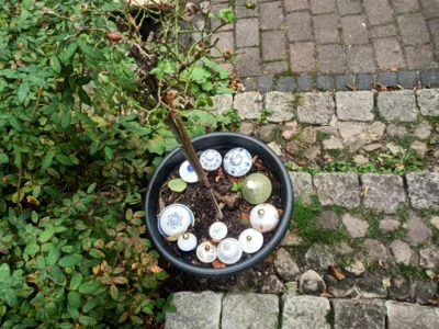 Eine gute Idee zur Verwertung  (Bild vergr&ouml;&szlig;ern)