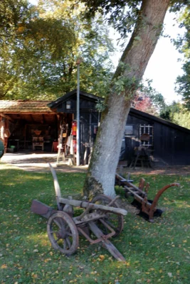 Foto des Albums: Demenzwoche 24.09.25 Museum