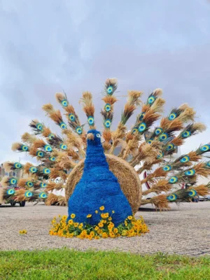 Foto des Albums: Polen