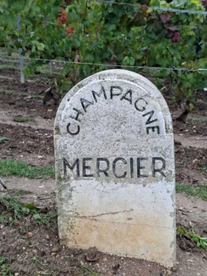 Mercier 1  (Bild vergr&ouml;&szlig;ern)