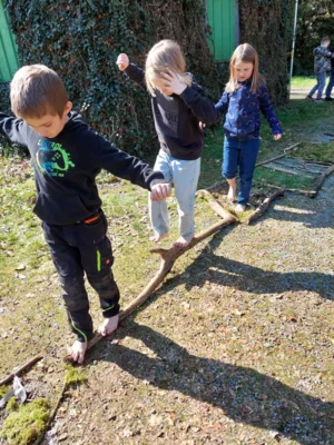 Foto des Albums: Waldtag 2a