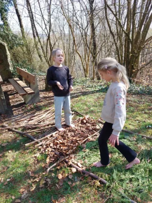Foto des Albums: Waldtag 2a