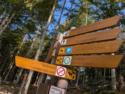 Foto des Albums: 2025_10_Wandertag_Nationalpark