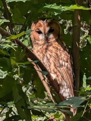 Foto des Albums: 2025_10_Wandertag_Nationalpark