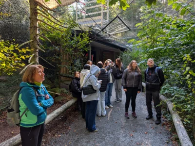 Foto des Albums: 2025_10_Wandertag_Nationalpark