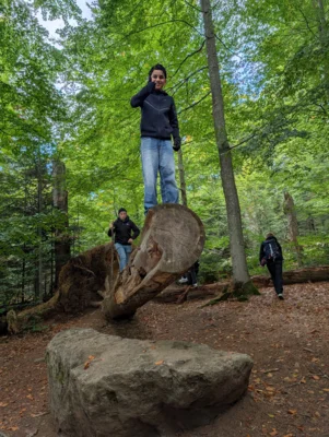 Foto des Albums: 2025_10_Wandertag_Nationalpark