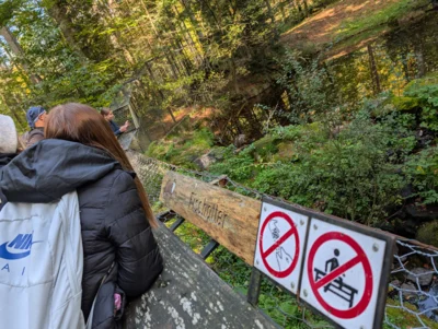 Foto des Albums: 2025_10_Wandertag_Nationalpark