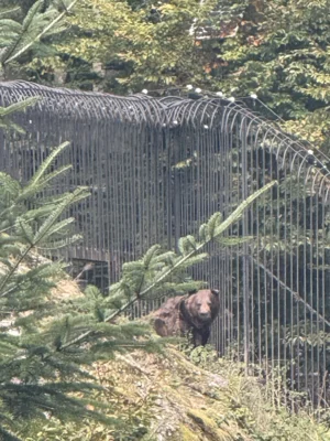 Foto des Albums: 2025_10_Wandertag_Nationalpark