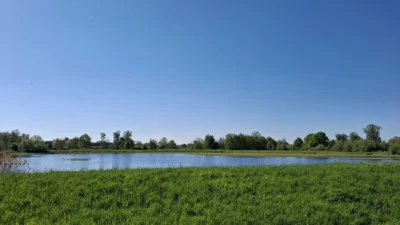 Foto des Albums: Wir erkunden den Müllberg und die Rieselfelder