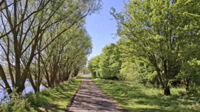 Foto des Albums: Wir erkunden den Müllberg und die Rieselfelder