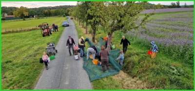 Foto des Albums: Apfelernte 2025