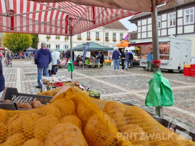 Foto des Albums: Bunt und lecker war der PriMa-Treff Herbst- und Kürbismarkt