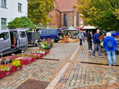 Foto des Albums: Bunt und lecker war der PriMa-Treff Herbst- und Kürbismarkt