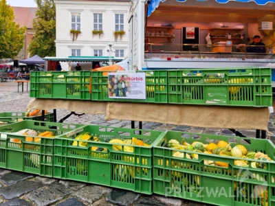 Foto des Albums: Bunt und lecker war der PriMa-Treff Herbst- und Kürbismarkt