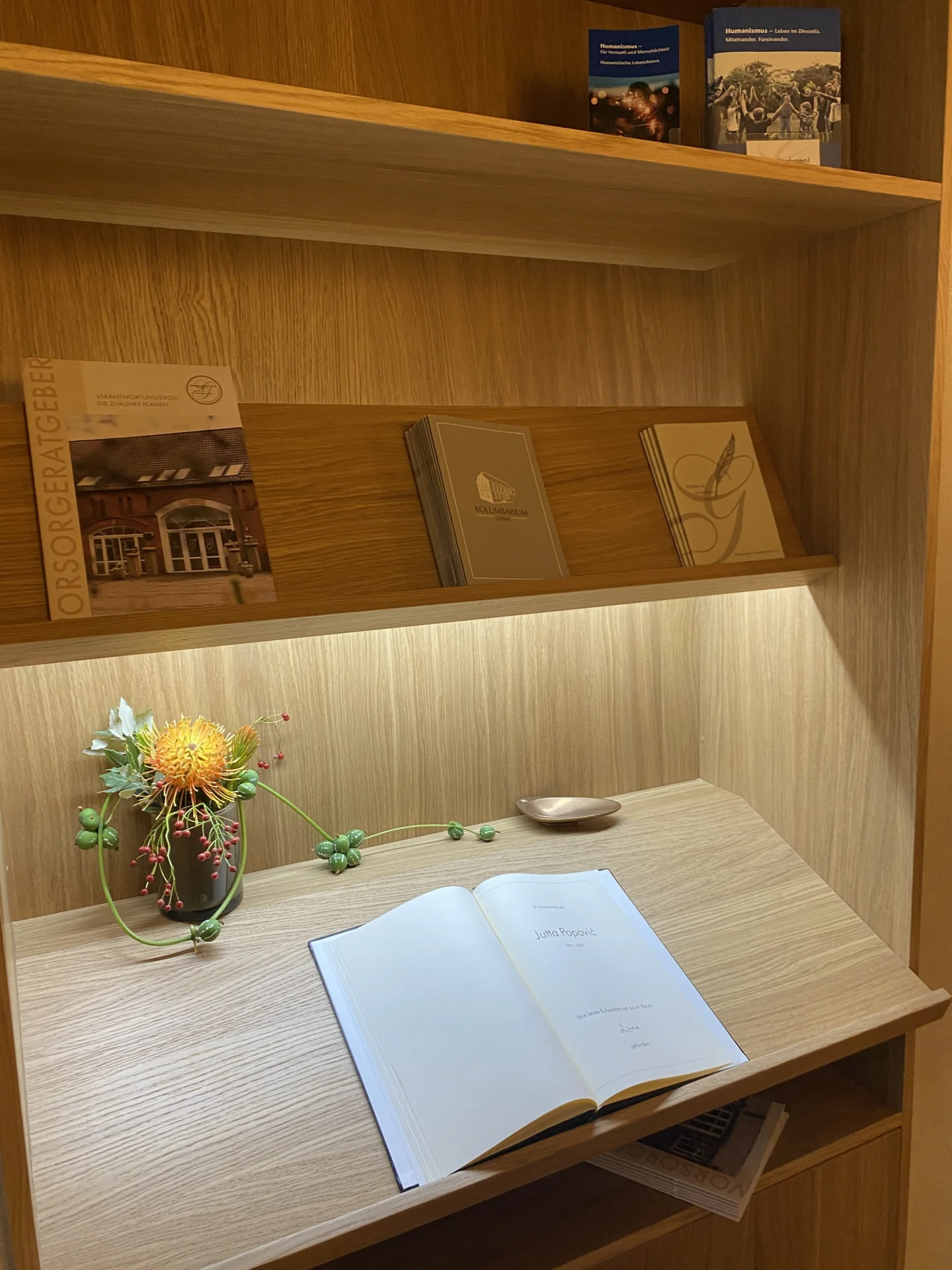 Bild der Galerie