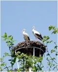 Foto des Albums: Bilder