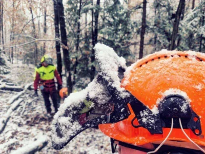Foto des Albums: Ausbildung Motorkettensäge