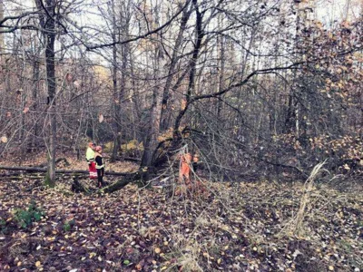 Foto des Albums: Ausbildung Motorkettensäge