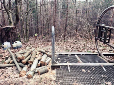 Foto des Albums: Lehrgang Motorkettensäge beendet